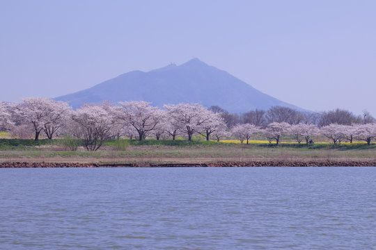 筑波山 の画像 2 660 件の Stock 写真 ベクターおよびビデオ Adobe Stock