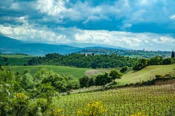 Fototapeta na wymiar Tuscany, 2007