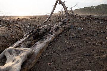 Eine Reise durch das wundervolle Costa Rica.