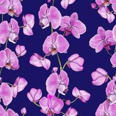 Seamless floral pattern with pink flowers orchids on blue background. Hand drawn. Tropical plants for design, textile, print, wallpapers, wrapping paper. Vector stock illustration.