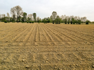 view on a newly sown agricultural field