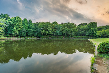 Fototapeta na wymiar Reflections on pond at Kitanomaru Park, Tokyo, Japan