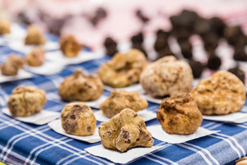 Famous white truffles , Alba, Piedmont, Italy.