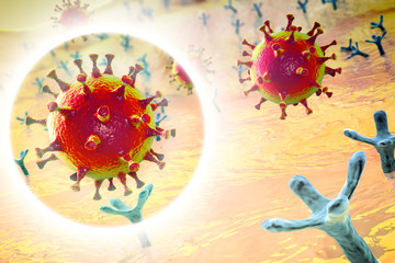 Obraz na płótnie Canvas SARS-CoV-2 virus binding to ACE2 receptors on a human cell