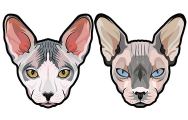 Fototapeta na wymiar Fashion vector portraits of Elegant Sphynx cat heads isolated