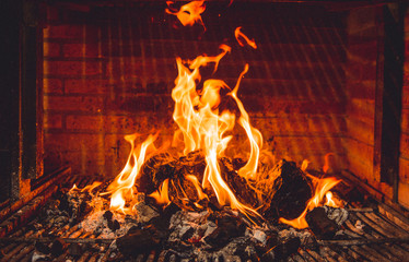 Horno de leña