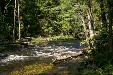 Adirondack Creek