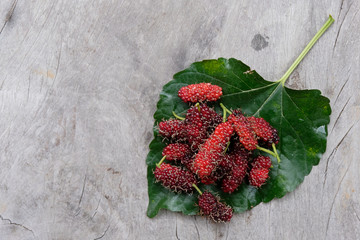 Mulberry berry with a leaf on wood