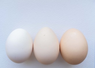 eggs on white background