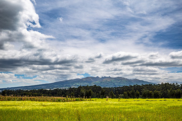 Eine Reise durch das tolle Ecuador.