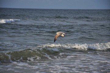 power of sea