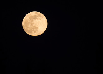 Obraz premium Close up of full moon seen with the telescope from northern hemisphere. Yellow brown tone. Black night sky background.
