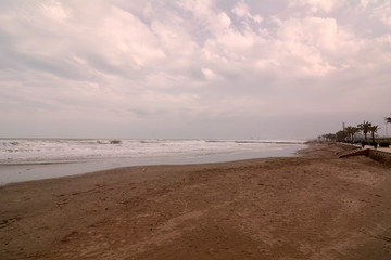 Beach landscape after the storm