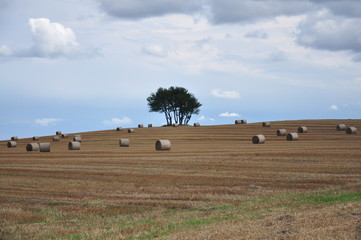 Obraz premium village 