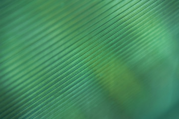 
Abstract green swamp blue background with diagonal frequent parallel lines. Monochrome, backdrop, background