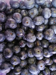 blueberries on a white background summer