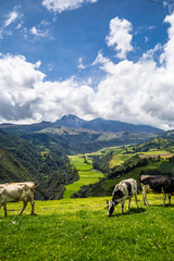 Eine Reise durch das tolle Ecuador.