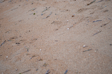  sands in a tranquil exotic weather during the summer in Bali