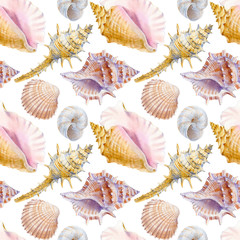 Obraz premium Marine seamless patern of sea shells. Watercolor illustration for textile, greeting cards,