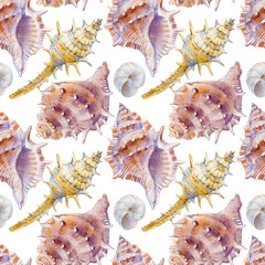 Obraz premium Marine seamless patern of sea shells. Watercolor illustration for textile, greeting cards,