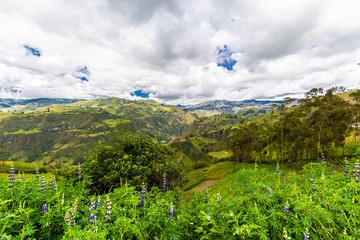 Obraz premium Eine Reise durch das tolle Ecuador.
