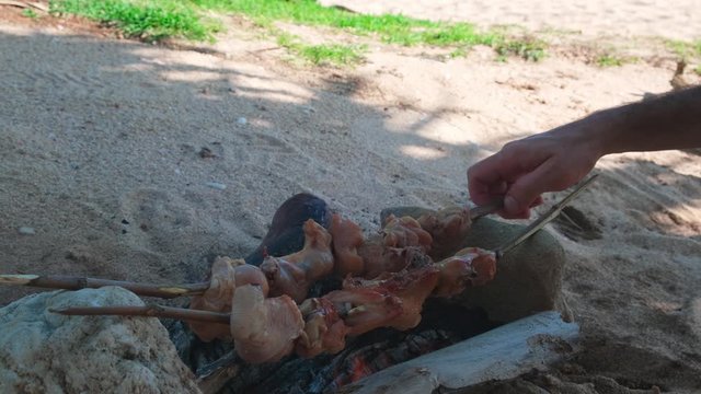 Young man cooks chicken on a bonfire on sticks and stones, picnic on the beach by the ocean on a sunny day.
male hands turn the barbecue sticks. 
cooking in the field. blue sea on background