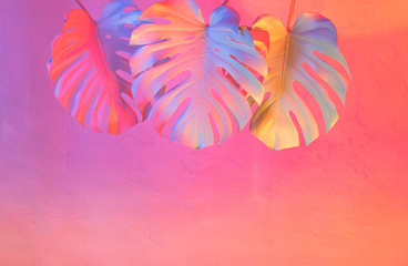 Tropical colorful funky background