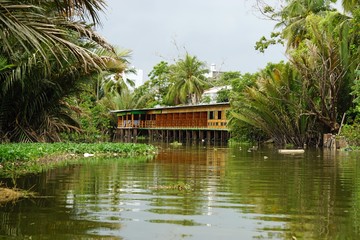 rural life in can tho in southern vietnam