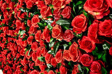 Flower wall, lots of roses