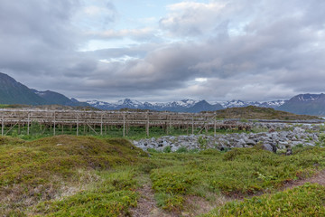 construction for drying codfishes, norwegian landscape, nature of the mountains in Lofoten on polar day during arctic summer. Photo taken at midnight sun