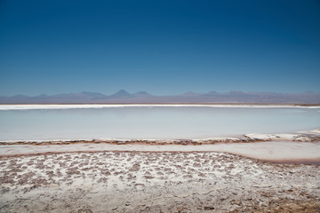 Flamingos. San Pedro de Atacama, Antofagasta - Chile. Desert. Baltinache Lagon.