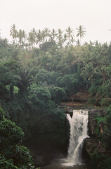 waterfall in bali