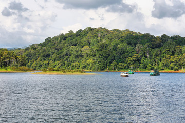 Fototapeta na wymiar Periyar lake in Periyar National Park, Kerala, India