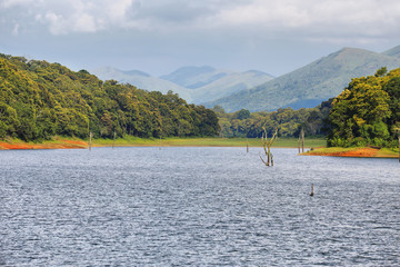 Fototapeta premium Periyar lake in Periyar National Park, Kerala, India