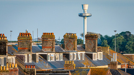 Fototapeta na wymiar Rooftops at Cranford House