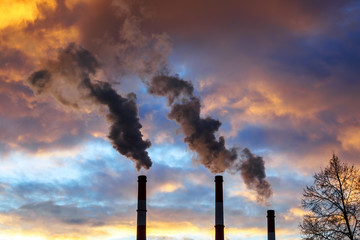 Three chimneys smoke and bare tree branches on dramatic colorful sky background. Industry pipes. Air pollution concept.