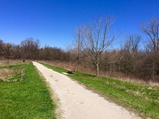 walking trail in a nature preserve