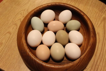 Colortul Organic Farm Fresh Eggs