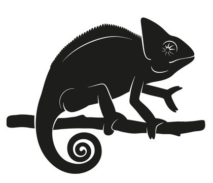 recommend clip art: Silhouette of a chameleon on a branch