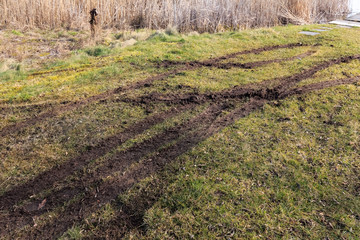 Fototapeta premium Wheel traces on muddy grass