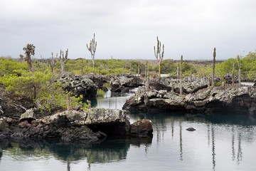 The unique lava tunnels and landscapes of Isla Isabela