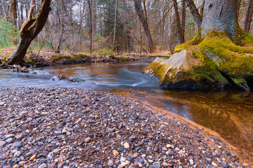 Meandering stream with pebbles and mos