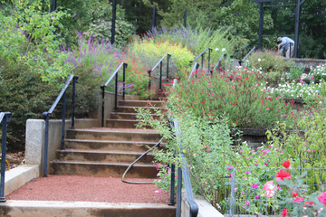 steps to the garden