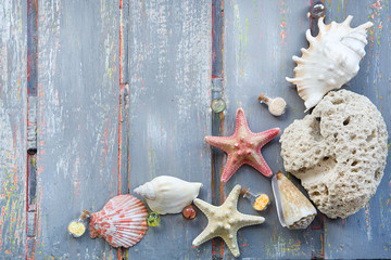 seashells starfish and corals out of focus with soft blurring on wooden gray background with noise effect of scratches and corrosion top view