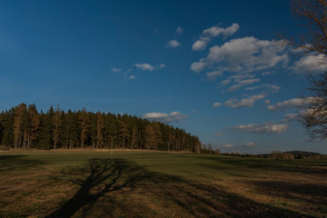 Fototapeta na wymiar Meadow and forest in sunset evening with long shadows and blue sky