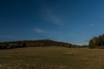 Fototapeta premium Meadow and forest in sunset evening with long shadows and blue sky