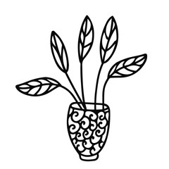 House plant  in a pot decorated with ornaments. Leaves on long stems. Doodle style. Hand drawn vector illustration in black ink on white background.