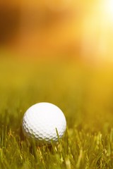 A action active calm compete country course