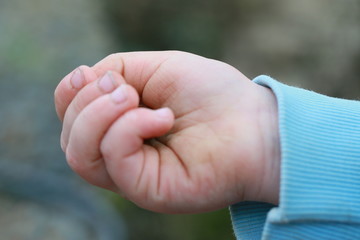 Haselnuss in Kinderhand