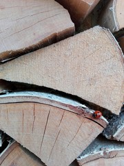 Close-up small red ladybug sitting on a birch log